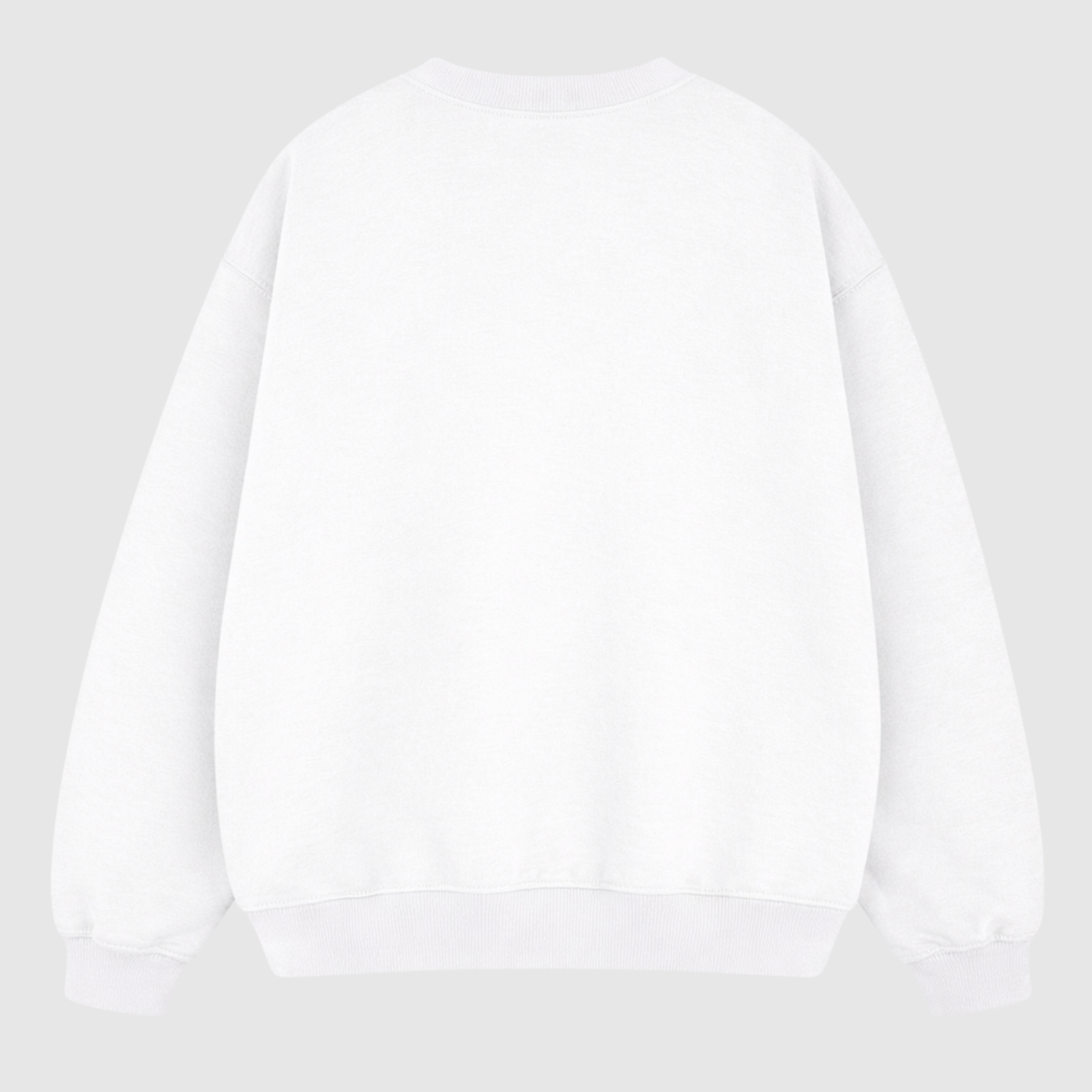“TRUTH & LIFE” Crewneck (White)